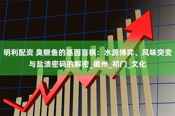 明利配资 臭鳜鱼的基因盲棋：水源博弈、风味突变与盐渍密码的解密_徽州_祁门_文化