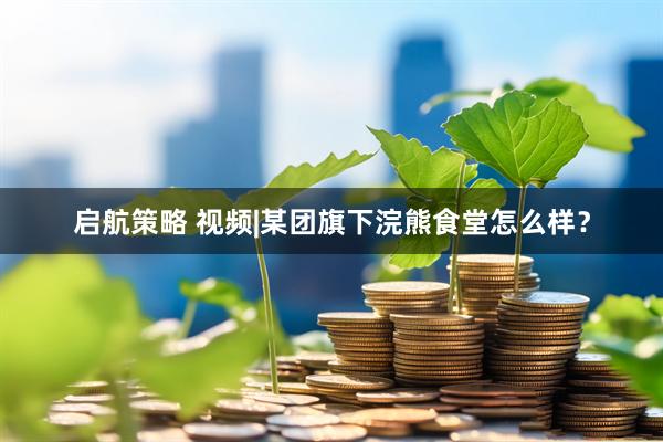 启航策略 视频|某团旗下浣熊食堂怎么样？
