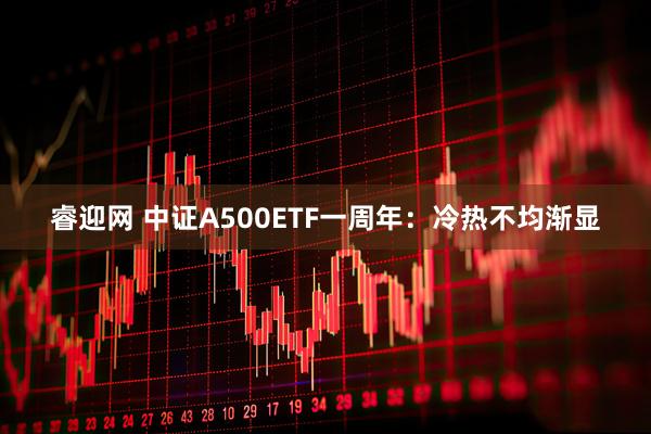 睿迎网 中证A500ETF一周年：冷热不均渐显
